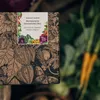 Alte historische Gemüsesorten (Bio) - Samen-Geschenkset mit Produktbild-Vorschau 2