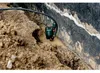 Pompa zanurzeniowa do ścieków Metabo SP 120-35 S (pompa Podgląd zdjęcia produktu 6