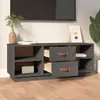The Living Store TV-Schrank Grau 100x34x40 cm Massivholz Produktbild-Vorschau 4