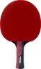 Farfalla Razzi Timo Boll Rubino, S841445 Anteprima dell’immagine prodotto 2