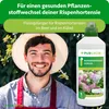 Purgrün Rispenhortensie-Dünger 1 Liter, Produktbild-Vorschau 2