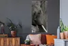MuchoWow® Wandtattoo Wandsticker Wandaufkleber Elefant - Produktbild-Vorschau 3