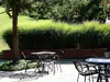 Stauden Gänge 3 x Miscanthus sinensis 'Gracillimus Nana' im Produktbild-Vorschau 6