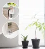 Close-up views of a roller blind mechanism and attachment, with a larger view of the blind and plants in the background. Produktbild-Vorschau