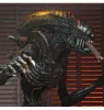 copie de  NECA ALIENS SERIES 8 ALIEN 3 DOG ALIEN BROWN Voir les images du produit 2