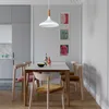 Pendelleuchte | Champion | Skandinavisch Pendellampe aus Produktbild-Vorschau 6