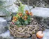 Planteur en bois flotté rond, Ø 38 cm, bac à plantes, pot Voir les images du produit 5
