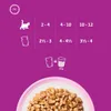 WHISKAS Nassfutter für Katzen Gal Junior Geflügel 40x85g Produktbild-Vorschau 14
