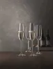 SPIEGELAU Flet do szampana Salute 21 cl 24,5 cm zestaw 4 Podgląd zdjęcia produktu 8