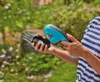 Gardena Set Akku-Grasschere ClasssicCut Li Produktbild-Vorschau 18