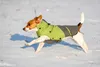 KERBL Hundemantel VANCOUVER, S, 35cm Produktbild-Vorschau 10