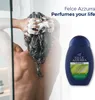 Felce Azzurra Men Shower Shampoo Power Sport 250 ml Produktbild-Vorschau 7