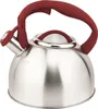 MICHELINO Bollitore a flute da 2,4 L in acciaio inox Anteprima dell’immagine prodotto 1