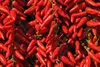 Talianska chilli paprička Diavolicchio v oleji, 290 g Náhľad obrázku produktu 6