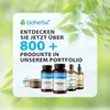Bioherba Löwenzahn Taraxacum officinale L. Tropfen Tinktur Produktbild-Vorschau 8