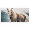DEQORI Hybrid Leinwand Bild 60x30 cm 'Wächter der Berge' Produktbild-Vorschau 2