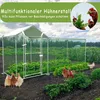 A chicken coop and run in a garden with chickens. Náhled obrázku produktu