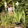 Relaxdays Vogelschreck, 3er Set, zum Hinstellen & Produktbild-Vorschau 5