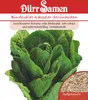 Romanasalat hoher | Romanasalatsamen von Dürr Samen Produktbild-Vorschau 1