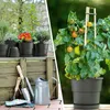 Blumentopf Milano 32 cm Durchmesser mit Untersetzer Farbe Produktbild-Vorschau 5