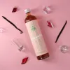 Schmolles Rhabarber-Vanille Likör // 0,5L 15% Produktbild-Vorschau 3
