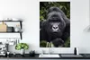 MuchoWow® Poster Gorilla schaut mit seinen perlweißen Augen Produktbild-Vorschau 3