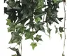 Plante d'intérieur artificielle Lierre, Hedera Plante Voir les images du produit 7