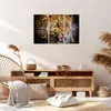 Bild auf Leinwand - Leinwandbild - Leopard tier savanne Produktbild-Vorschau 7