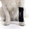 Verstellbare Karpalorthese für Hunde Umfangdeskarpalgelenks Produktbild-Vorschau 2