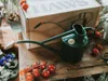 HAWS The Rowley Ripple 1 l, zelená Náhľad obrázku produktu 4