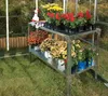 A metal plant stand with various potted plants inside a greenhouse. Náhľad obrázku produktu