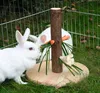 Kerbl Futterbaum Nature für Nagetiere Kaninchen Spielzeug Anteprima dell’immagine prodotto 2