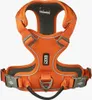 Dog Copenhagen V3 Comfort Walk Pro Harness Orange Sun M Produktbild-Vorschau 3