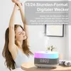 Aroma Diffuser,Luftbefeuchter, 300 ml mit Produktbild-Vorschau 4