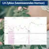 BMUT 50 Ovulationstest 25miu + 20 Schwangerschaftstest Produktbild-Vorschau 4