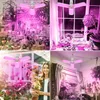 A collage of images showing LED plant grow lights in various indoor settings, including a greenhouse, a windowsill, and a room with plants. One image features a woman holding a potted plant. Produktbild-Vorschau