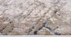 Tapiso Teppich COMO Modern Abstrakt Kurzflor Dunkelbraun Produktbild-Vorschau 4