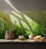 Küchenrückwand selbstklebend Wiese Spritzschutz Folie 280 x Produktbild-Vorschau 10