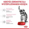 Royal Canin Kitten Sterilised, Kitten, Geflügel, 3,5 kg Produktbild-Vorschau 16