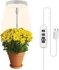 A potted plant with yellow flowers is illuminated by a ring-shaped grow light. Náhľad obrázku produktu