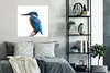 MuchoWow® Poster Eisvogel - Federn - Zweig - Blau 75x75 cm Produktbild-Vorschau 4