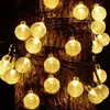 A string of solar-powered LED globe lights wrapped around a tree trunk. Voir les images du produit