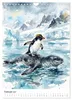 Coole Pinguine (Wandkalender 2027 DIN A4 hoch), CALVENDO Produktbild-Vorschau 5