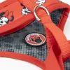 Cerda Group Postroj pre psa Minnie Červený XS-S Červený Náhľad obrázku produktu 5