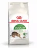 Cibo per gatti Royal Canin Outdoor Adulto Pollo 2 Kg Anteprima dell’immagine prodotto 9
