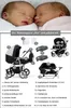 Zwillingskinderwagen 5 in 1 Duo inkl. Autositze und Iso Produktbild-Vorschau 5