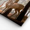 Bild auf Leinwand - Leinwandbild - Kitz Hirsch Tier wild - Produktbild-Vorschau 5