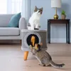 Griffoir robuste pour chat, petit 38cm, gris avec plume et Voir les images du produit 5