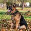 Taktisches Hundehalsband, Verstellbare Halsband Mit Produktbild-Vorschau 6