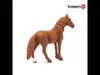schleich HORSE CLUB 13925, 5 rok/roky, Horses, Hnědá, 1 Náhled obrázku produktu 5